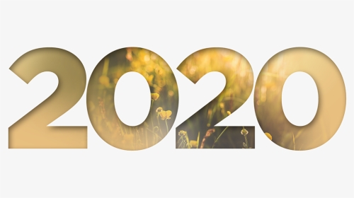 2020 Graphic, HD Png Download, Transparent PNG