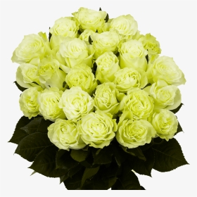 Flower Delivery 2 Dozen Green Roses Bouquets - Garden Roses, HD Png Download, Transparent PNG