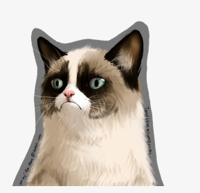 Transparent Grumpy Cat, HD Png Download, Transparent PNG
