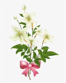 Jasmine Flower Clipart Black And White Graphic Download - Pink Jasmine Flower Clipart, HD Png Download, Transparent PNG