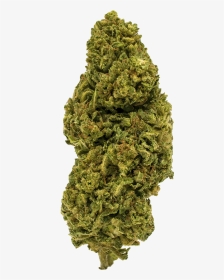 Weed Bud Png, Transparent Png, Transparent PNG