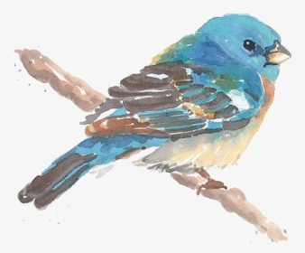 Drawing Birds Blue Bird - Birds Painting Watercolor Png, Transparent Png, Transparent PNG