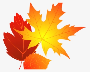 Transparent Background Fall Leaf Clipart, HD Png Download, Transparent PNG
