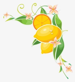 Mango Fruit Border Design, HD Png Download, Transparent PNG