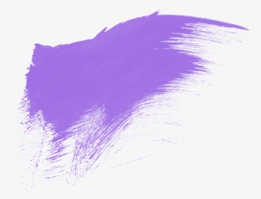 Purple - Sketch, HD Png Download, Transparent PNG