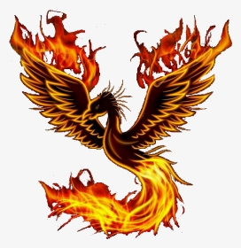#phoenix #bird - Illustration, HD Png Download, Transparent PNG