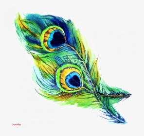 Transparent Background Peacock Feathers Clip Art, HD Png Download, Transparent PNG