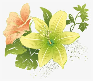Flower Vector, HD Png Download, Transparent PNG