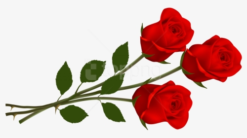 Free Png Rose Png Images Transparent - Roses Clipart, Png Download, Transparent PNG