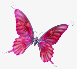 Mariposas De Dibujo Fondo Transparente, HD Png Download, Transparent PNG