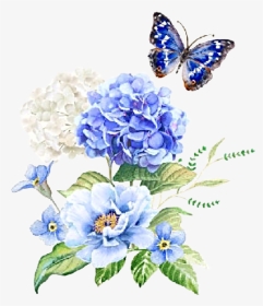 #watercolor #flowers #floral #bouquet #hydrangea #butterfly - Hydrangea, HD Png Download, Transparent PNG
