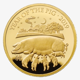 Commemorative Coins For 2019 Lunar Year Of The Pig - Year Of Pig Coin, HD Png Download, Transparent PNG