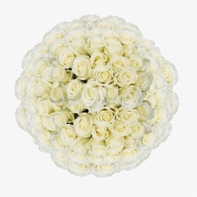 Order White Roses Online Cheap - Garden Roses, HD Png Download, Transparent PNG
