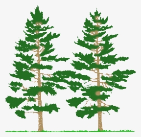 Pine Trees Silhouette - Farming Simulator 2017 Mods Trees 2017, HD Png Download, Transparent PNG