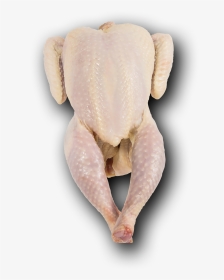 Sonoma Red Organic Pasture Raised Whole Chicken With - True Frog, HD Png Download, Transparent PNG