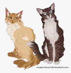 Warrior Cats Maine Coon, HD Png Download, Transparent PNG