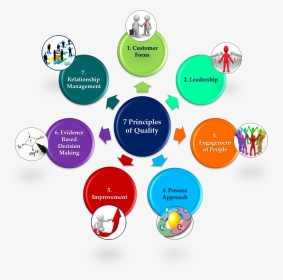 7 Principles - 7 Principles Of Quality Management, HD Png Download, Transparent PNG