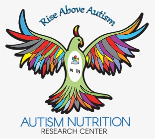 Anrc Logo - Multivitamin For Autism, HD Png Download, Transparent PNG