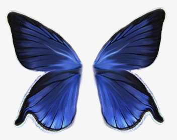 Butterfly Wings No Background, HD Png Download, Transparent PNG