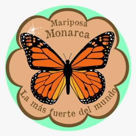 Monarch Butterfly, HD Png Download, Transparent PNG