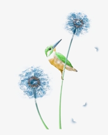 Graphic Stock Dandelions Drawing Bird - Lazuli Bunting, HD Png Download, Transparent PNG