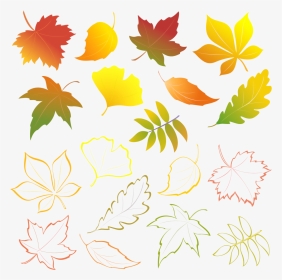 Transparent Fall Flower Clipart - Leaves, HD Png Download, Transparent PNG