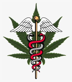 Michigan Medical Report World - Symbol Marijuana, HD Png Download, Transparent PNG