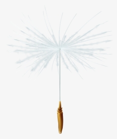 #natalya040 #dandelion #seed #freetoedit - White Pine, HD Png Download, Transparent PNG