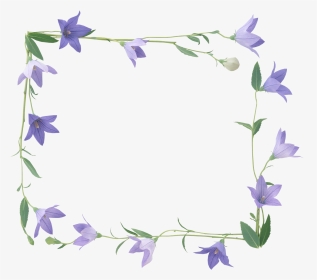 Bellflower Png - Frame Flower Purple Transparent, Png Download, Transparent PNG
