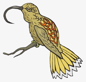 Hummingbird Clipart Sunbird - Sunbird Clipart Png, Transparent Png, Transparent PNG