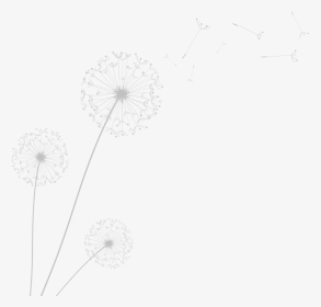 Monochrome, HD Png Download, Transparent PNG