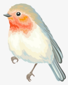 #bird #cute #animo #pastel #spring #png #overlay #edits - European Robin, Transparent Png, Transparent PNG