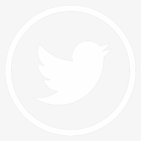 White Twitter Logo Gif, HD Png Download, Transparent PNG