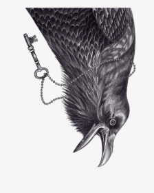 Tree And Ravens Drawing, HD Png Download, Transparent PNG