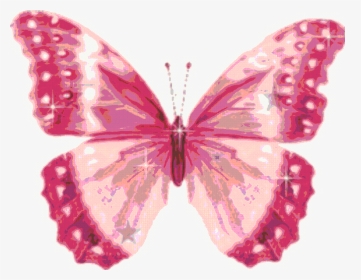Clipart Pink Butterfly, HD Png Download, Transparent PNG
