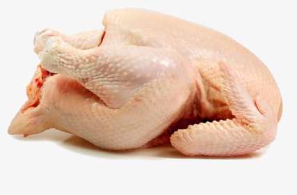 Frozen Chiken - Broiler Chicken Meat Png, Transparent Png, Transparent PNG