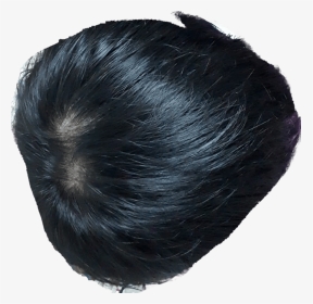 탈모인가요 - Lace Wig, HD Png Download, Transparent PNG