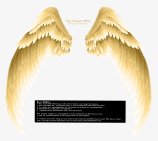 Angel Wings Png, Transparent Png, Transparent PNG