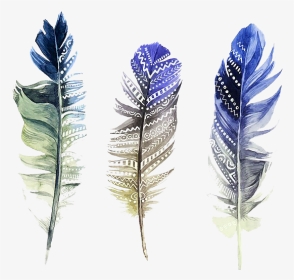 #featherset #feathers #feather #bohofeather #bohemian - Feather Watercolor Png, Transparent Png, Transparent PNG