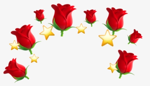 #emoji #crown #emojicrown #foryou #lol #sticker - Garden Roses, HD Png Download, Transparent PNG