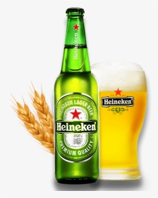 Beer World Store - Heineken Bottle Vector, HD Png Download, Transparent PNG