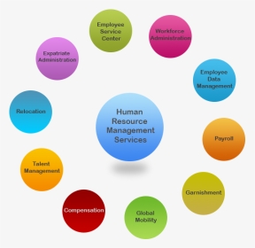 Human Resource Management Life Cycle, HD Png Download, Transparent PNG