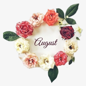#helloaugust #august #aout #agosto #flower #ftestickers - Garden Roses, HD Png Download, Transparent PNG