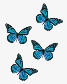 #butterflies #butterfliesstickerremix #butterfly #aesthetic - Flying Pink Butterfly Png, Transparent Png, Transparent PNG