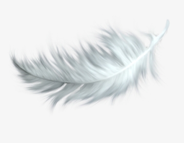 #draingang #sadboys #sadboys2001 #cyber #tumblr #aesthetic - Feather Transparent Background, HD Png Download, Transparent PNG