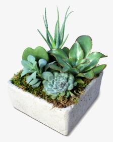 Picture - Flowerpot, HD Png Download, Transparent PNG