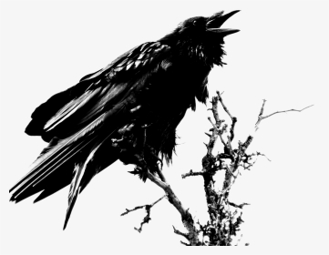 Art Edgar Allan Poe Raven, HD Png Download, Transparent PNG