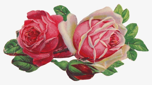 Rose Clip Art Victorian - Victorian Rose Clip Art, HD Png Download, Transparent PNG