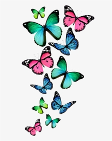 Watercolor Butterfly Clipart Transparent Background, HD Png Download, Transparent PNG