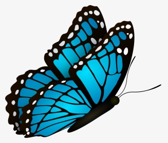 Flying Butterflies Png, Transparent Png, Transparent PNG